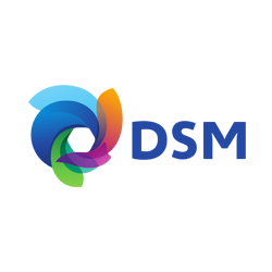 PT DSM Nutritional Products Manufacturing Indonesia