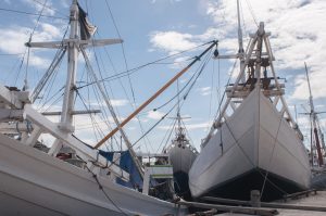 Port Businesses – Three Years After the Enactment of the 2008 Shipping Law